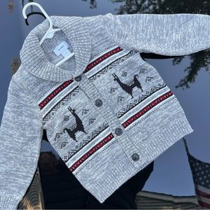 Boys 3T Holiday Sweater